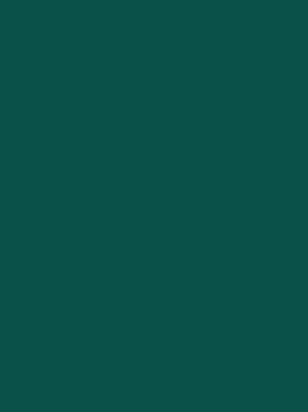 Bamboo Shorty Scarf Emerald Green